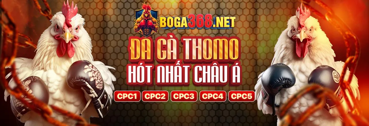 Các tính năng bảo mật và an toàn tại yes8vn thắng